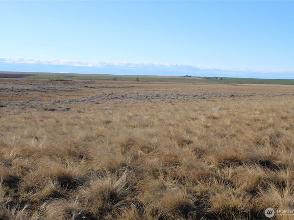 0 Schafer and Dewalt Road , Ritzville, WA 99169