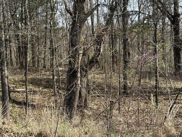 0 Nolan Road, Olive Branch, MS 38654