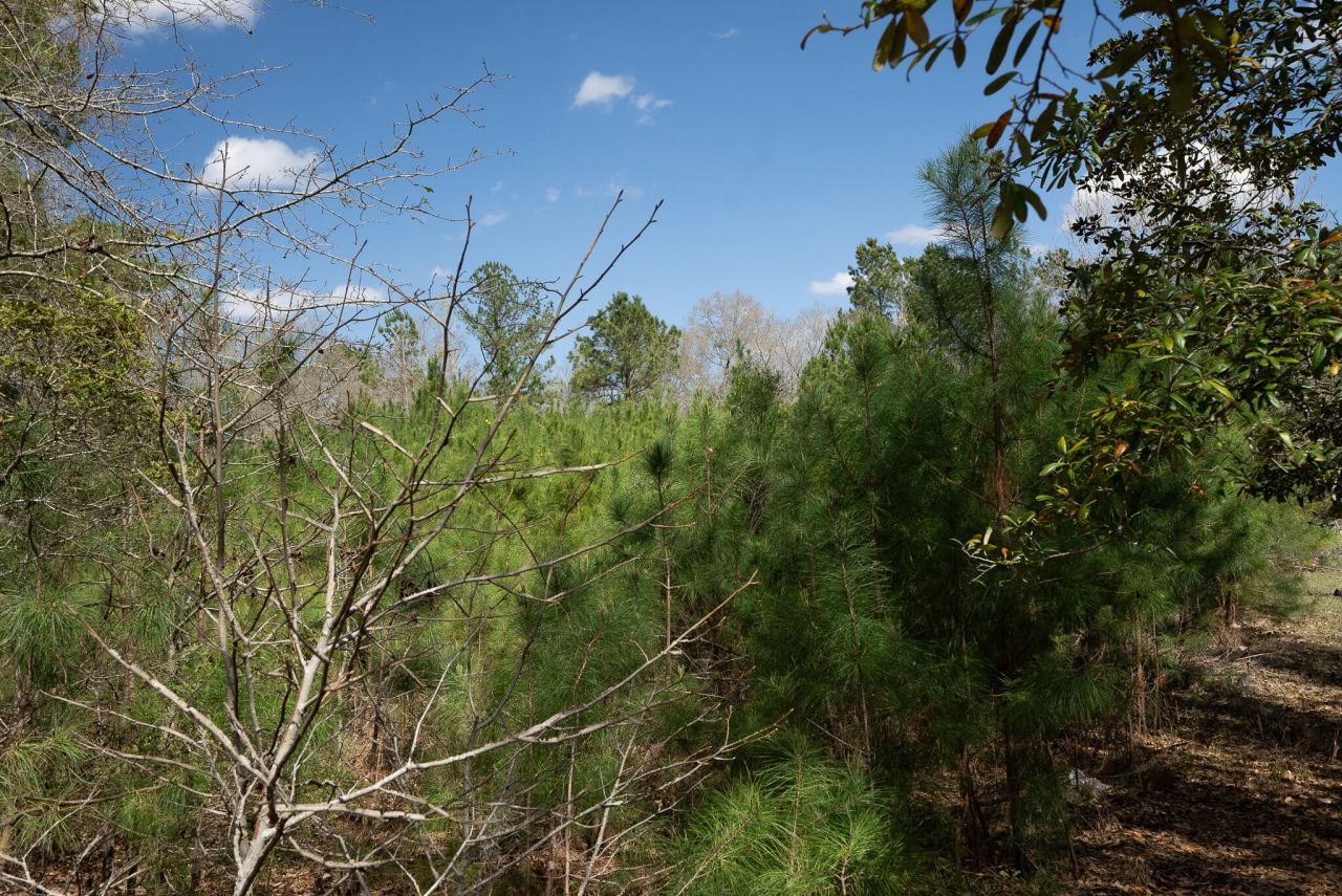 0 State Road Photo 5