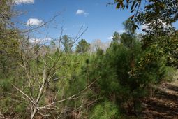 0 State Road photo 4