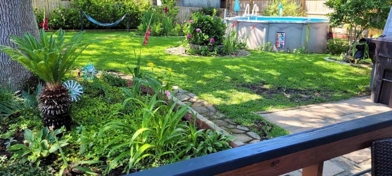 118 Elaine Street Photo 53