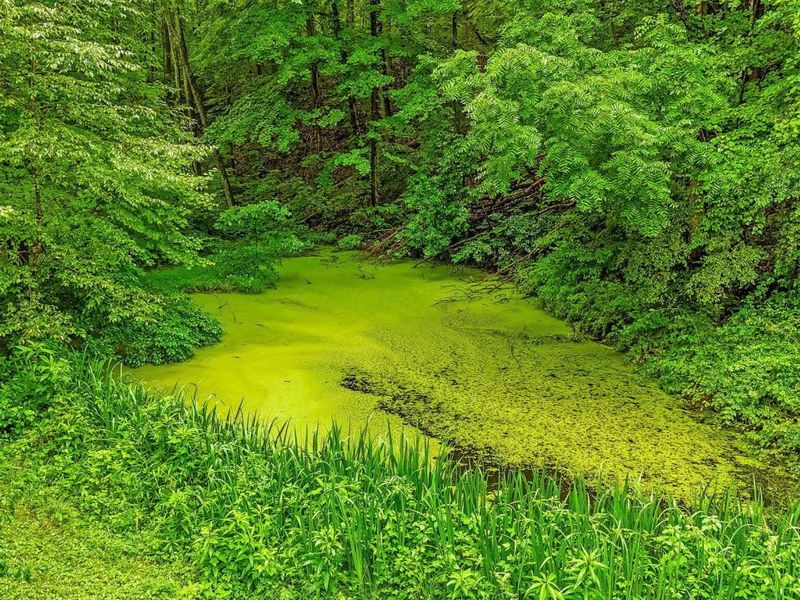 14879 Wolfe Bennett Road, Nelsonville, OH 45764 Photo 28