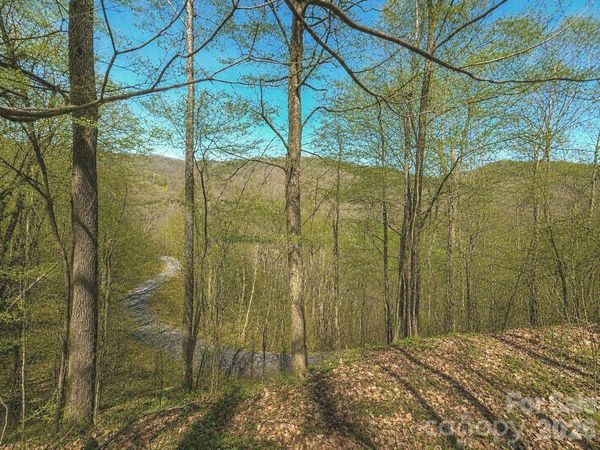 1200 Chestnut Flats Lane, Waynesville, NC 28786