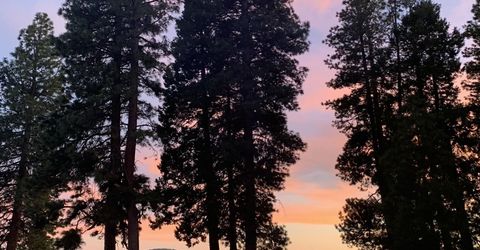 3728 Lake Almanor Drive, Lake Almanor, CA 00000 Photo