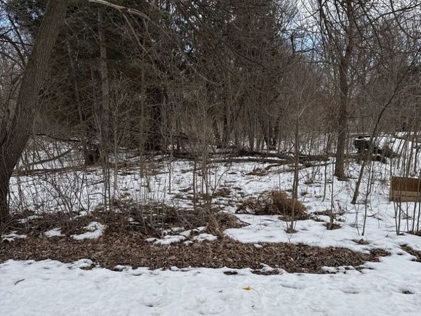 1601 Faithorn Avenue , Crete, IL 60417