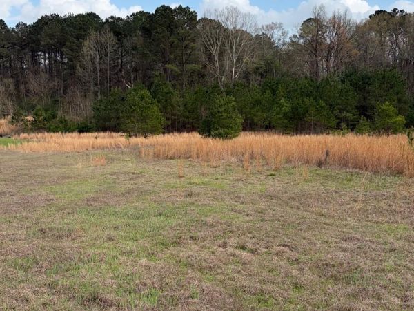 0 N Hwy 43, Pelahatchie, MS 39145