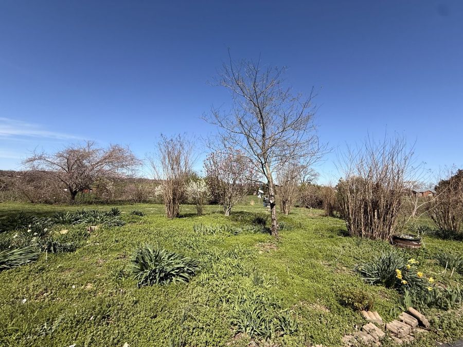 Property Image 73