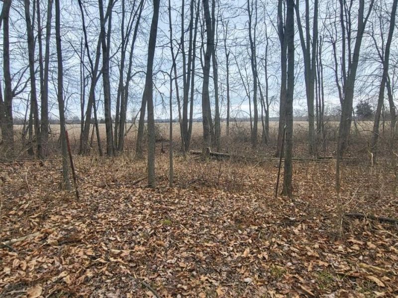 5024 Brant Road, Salem Twp, OH 45152 Photo 32