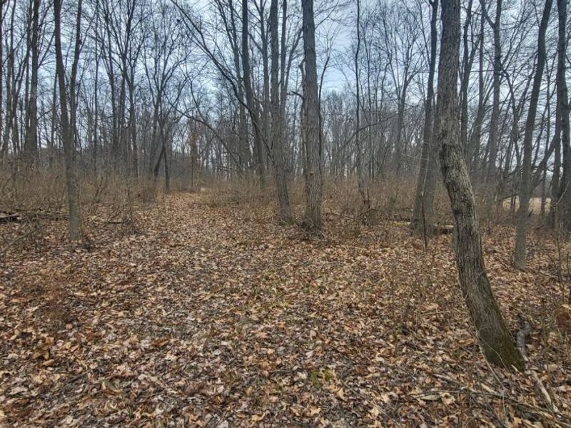 5024 Brant Road, Salem Twp, OH 45152 Photo 33