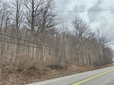 00 Warners Rd Lots 1-3, Camillus, NY 13031