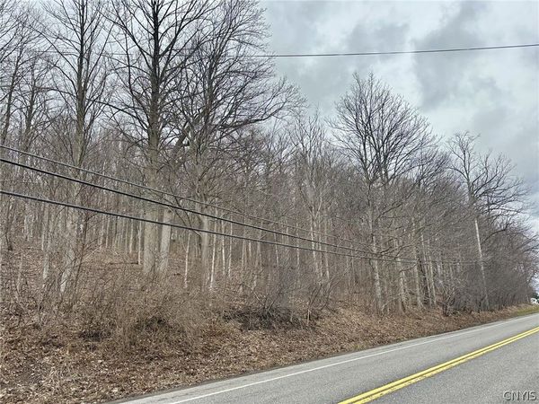 00 Warners Rd Lots 1-3, Camillus, NY 13031