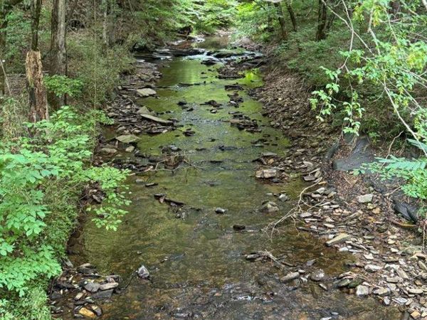 1634 Carman Way, Ranger, GA 30734