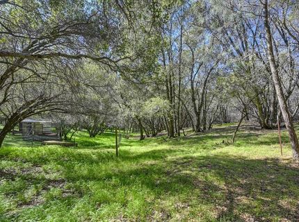 16190 Rolling Oaks Ct, Fiddletown, CA 95629 Photo