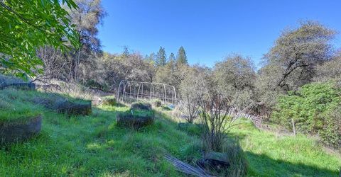 16190 Rolling Oaks Ct, Fiddletown, CA 95629 Photo