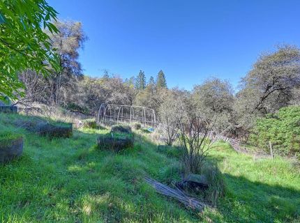16190 Rolling Oaks Ct, Fiddletown, CA 95629 Photo