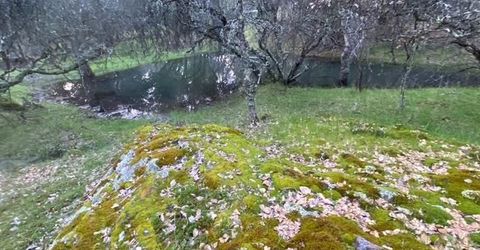 16190 Rolling Oaks Ct, Fiddletown, CA 95629 Photo