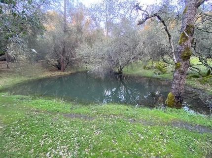 16190 Rolling Oaks Ct, Fiddletown, CA 95629 Photo
