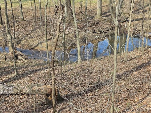 0 Mo-O, Williamsville, MO 63967