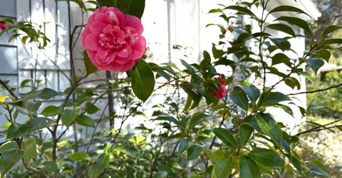 2888 Creek View Ln, Placerville, CA 95667 Photo