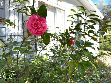 2888 Creek View Ln, Placerville, CA 95667 Photo