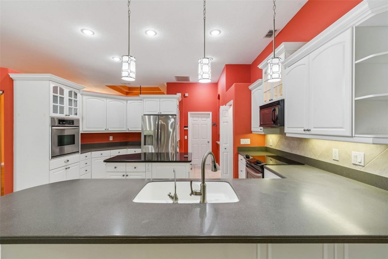 2108 Hammock Park Court, Trinity, FL 34655 Photo