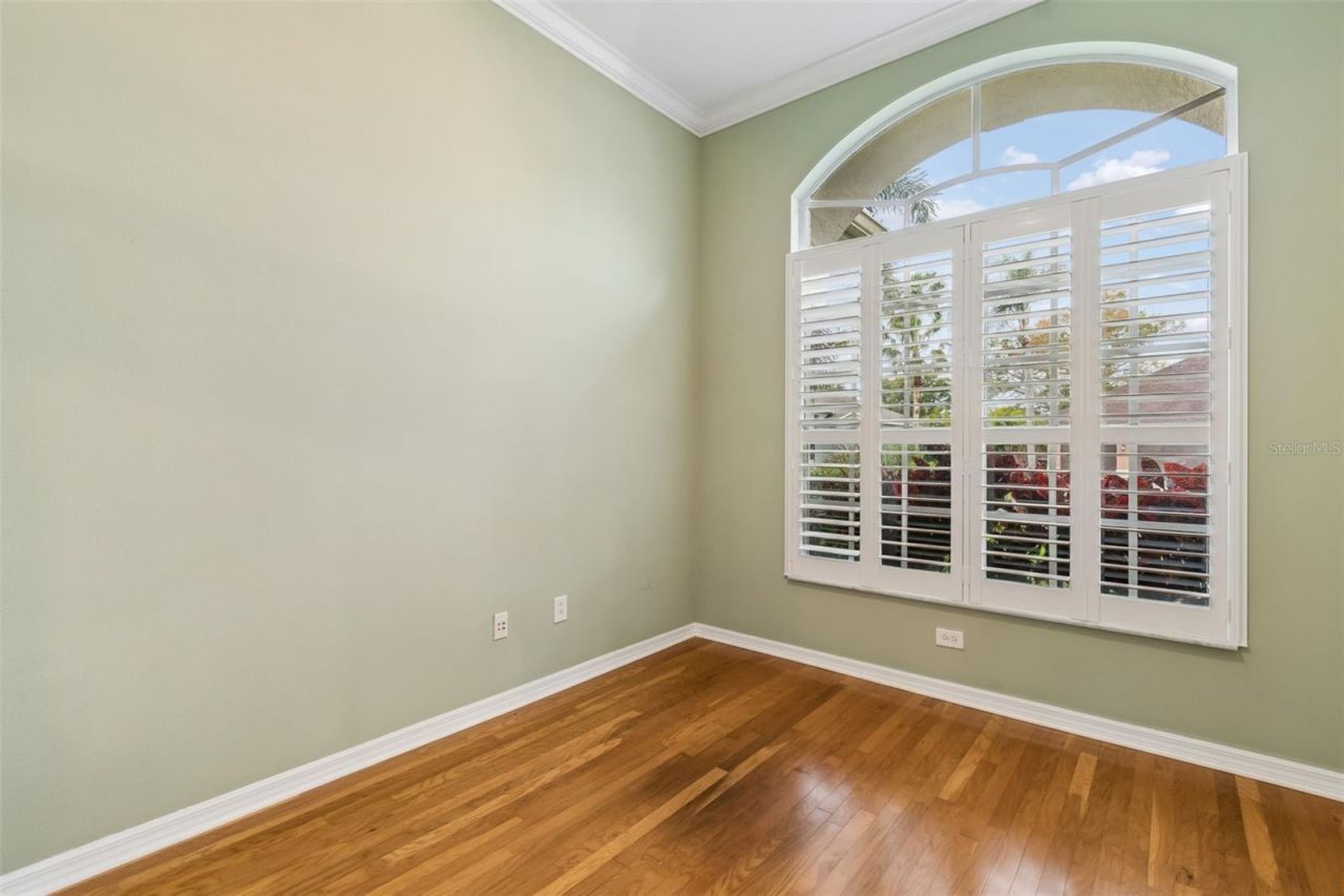 2108 Hammock Park Court, Trinity, FL 34655 Photo