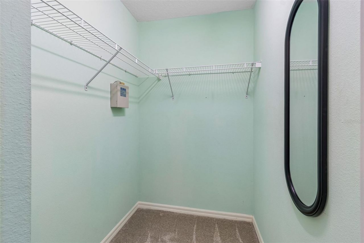 2108 Hammock Park Court, Trinity, FL 34655 Photo