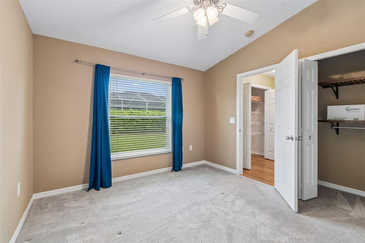 2108 Hammock Park Court, Trinity, FL 34655 Photo