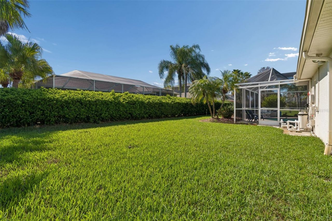 2108 Hammock Park Court, Trinity, FL 34655 Photo