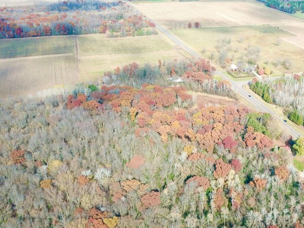 TBDx 165th Avenue SE, Santiago Twp, MN 55319