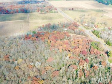 TBDx 165th Avenue SE, Santiago Twp, MN 55319