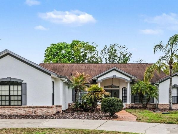 19216 RIDGELAKE DRIVE, LUTZ, FL 33549
