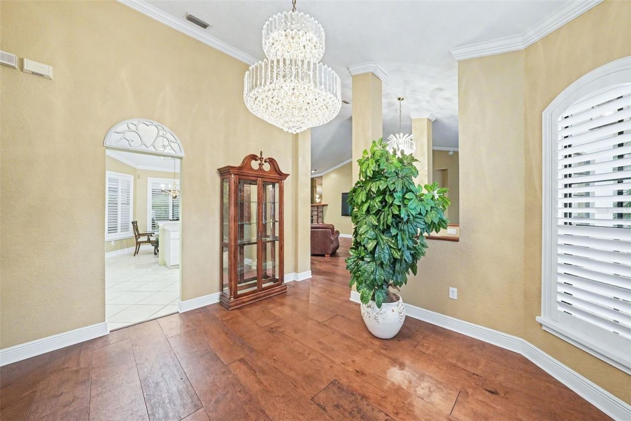 19216 Ridgelake Drive, Lutz, FL 33549 Photo