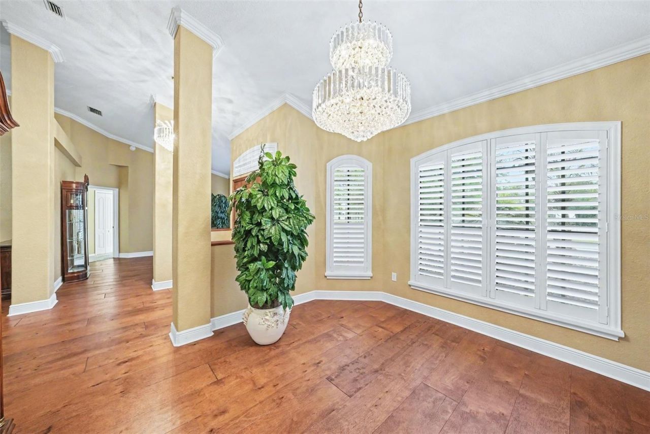 19216 Ridgelake Drive, Lutz, FL 33549 Photo