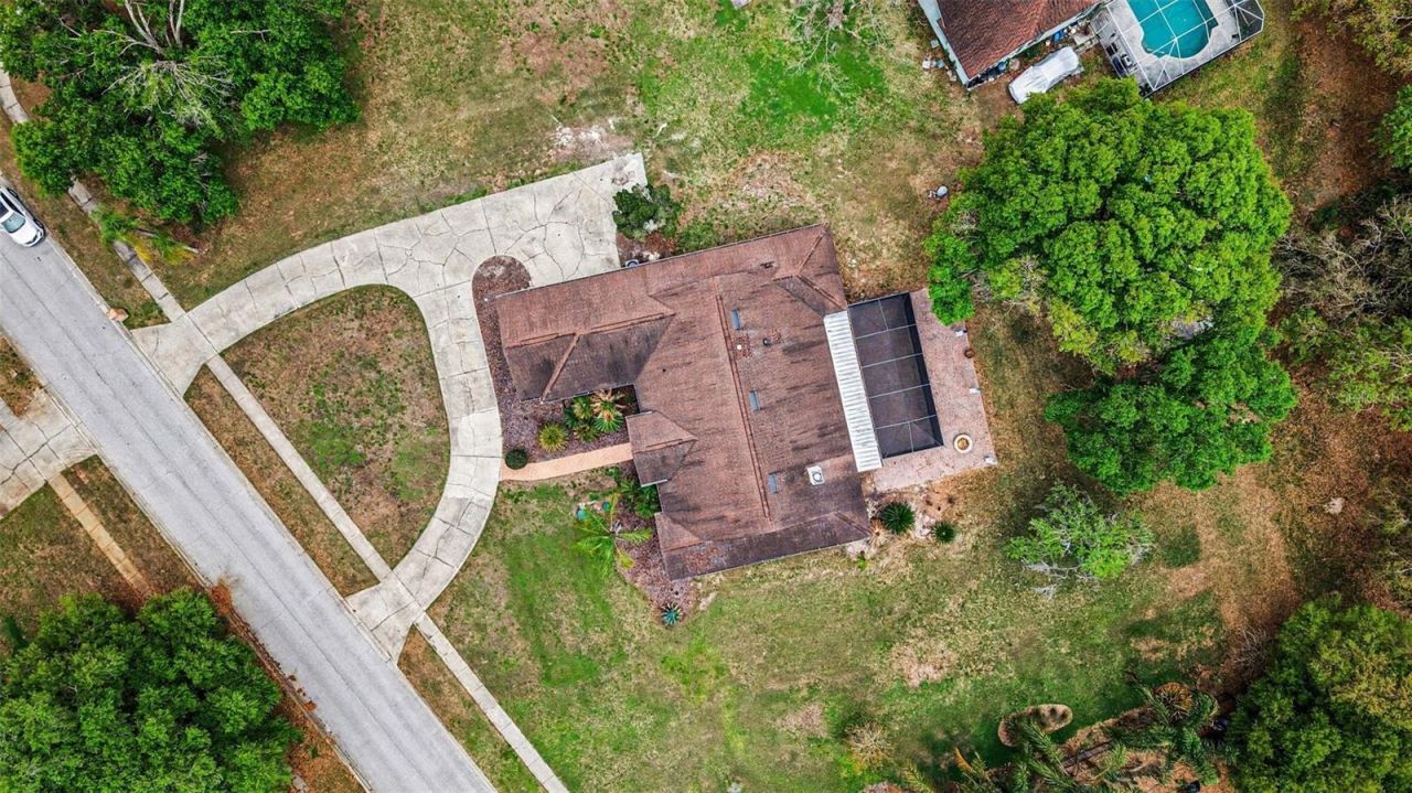 19216 Ridgelake Drive, Lutz, FL 33549 Photo