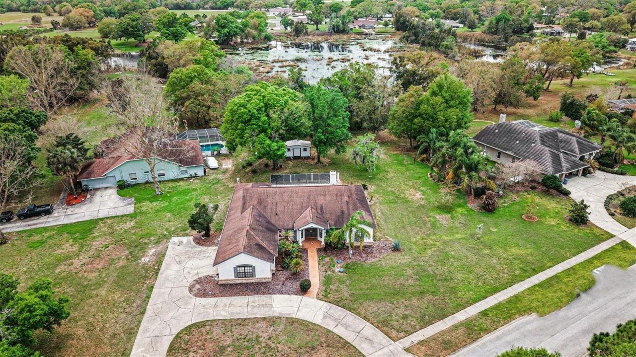 19216 Ridgelake Drive, Lutz, FL 33549 Photo