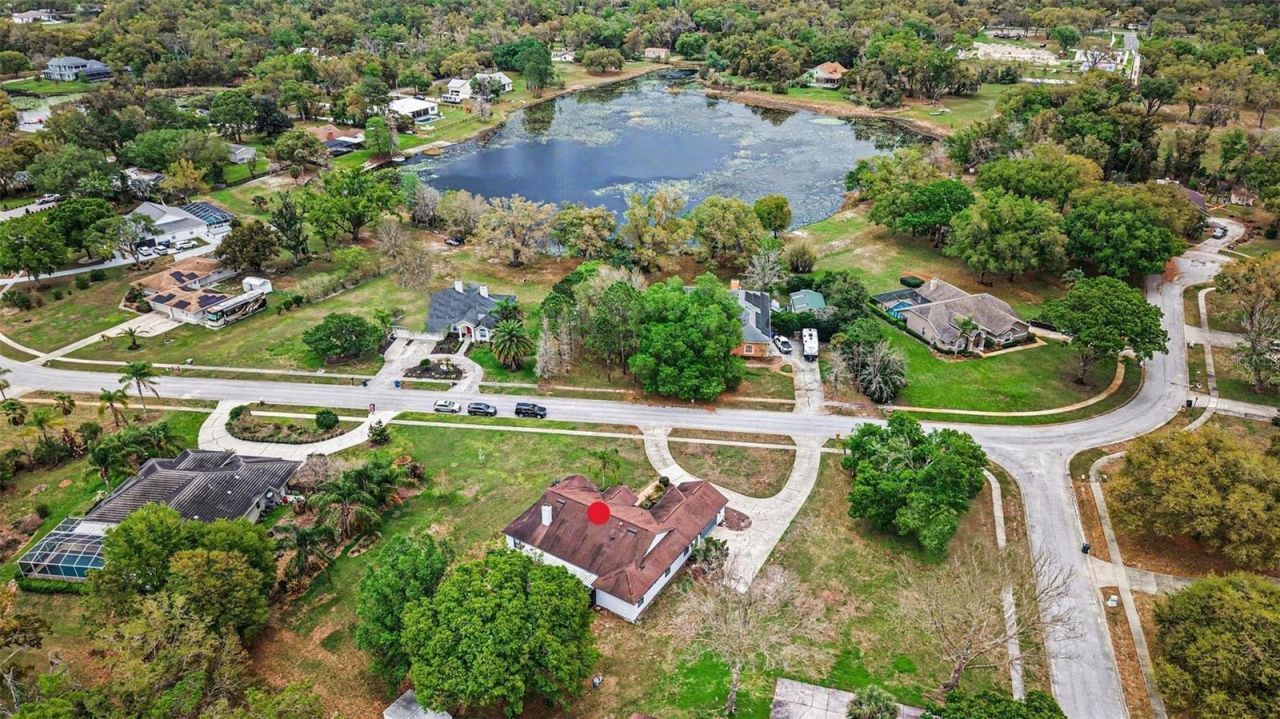 19216 Ridgelake Drive, Lutz, FL 33549 Photo