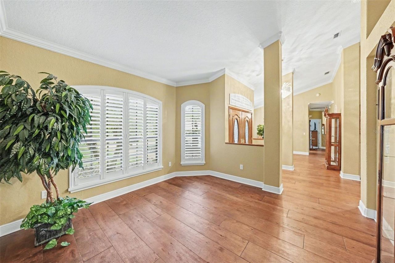 19216 Ridgelake Drive, Lutz, FL 33549 Photo