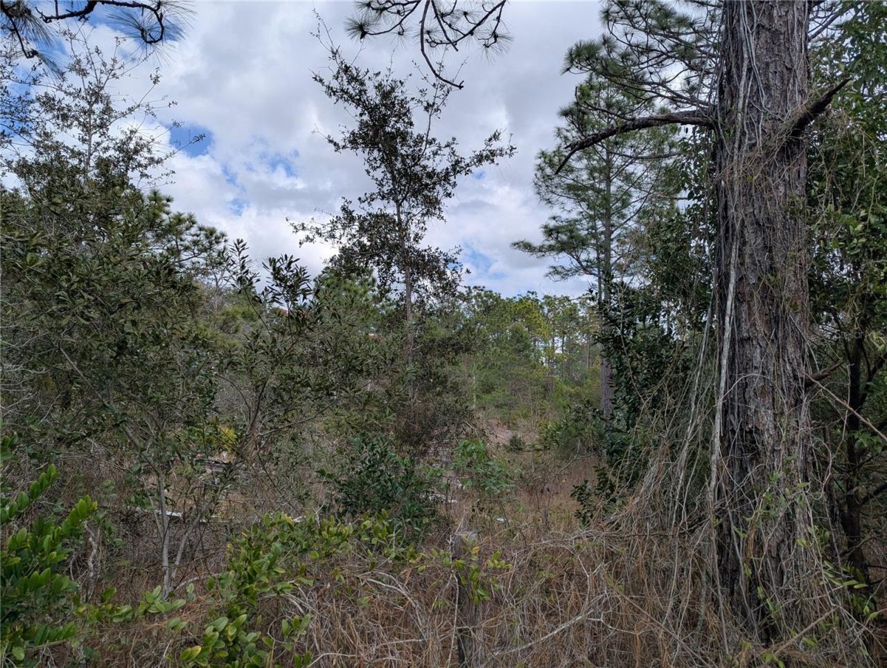 0 Gannet Avenue , Weeki Wachee, FL 34613 Photo