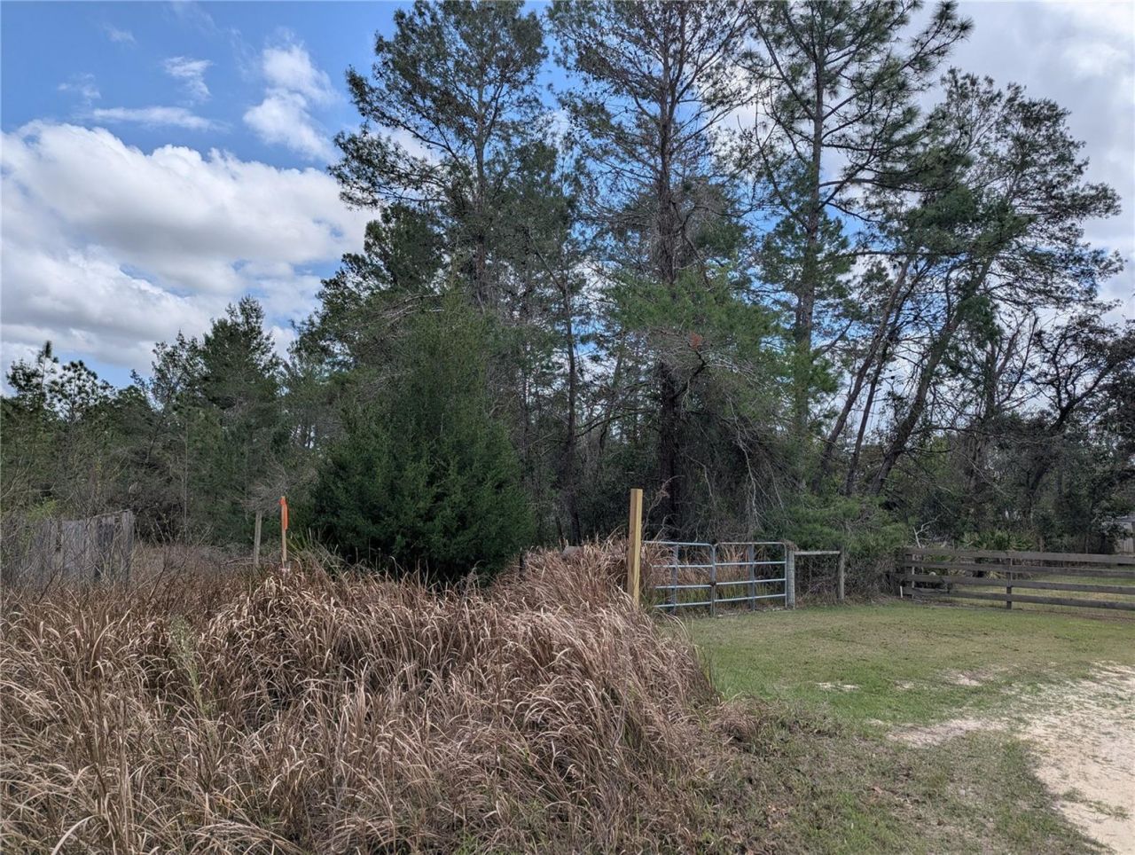 0 Gannet Avenue , Weeki Wachee, FL 34613 Photo