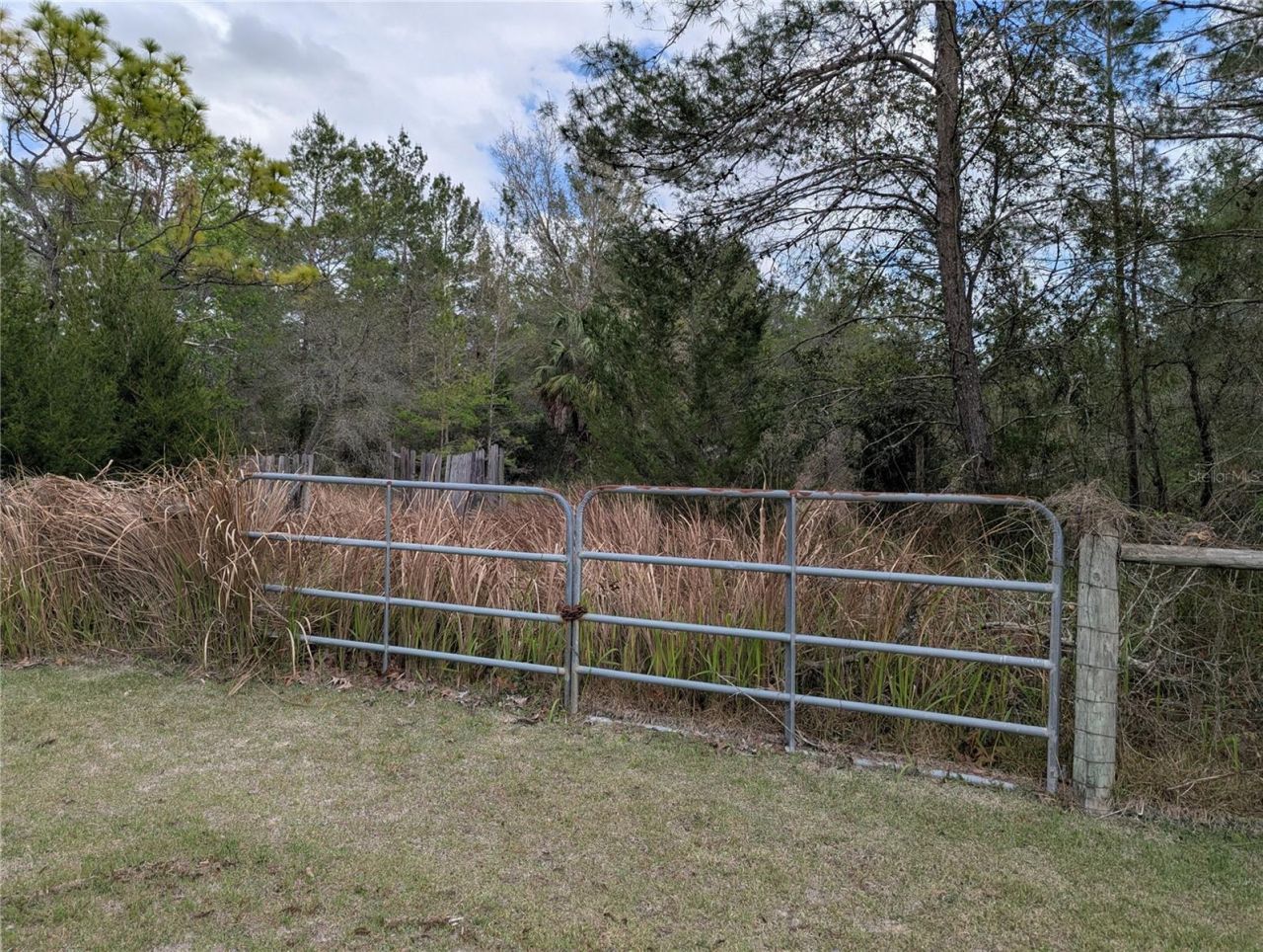 0 Gannet Avenue , Weeki Wachee, FL 34613 Photo