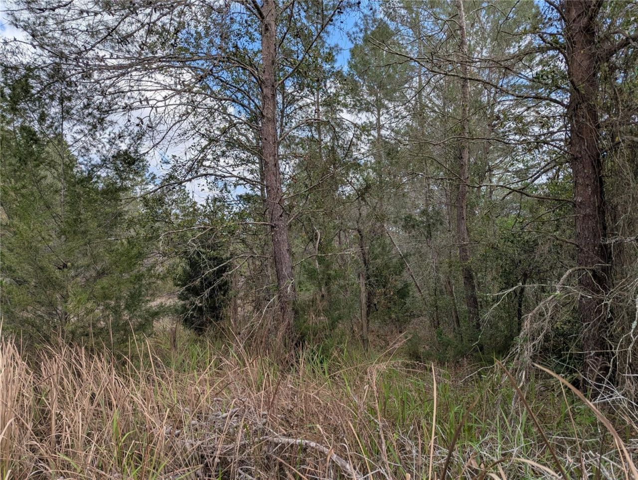 0 Gannet Avenue , Weeki Wachee, FL 34613 Photo