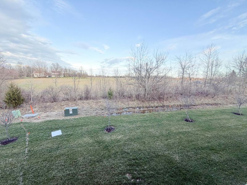 109 Coyote Willow Drive, Etna, OH 43068 Photo 13