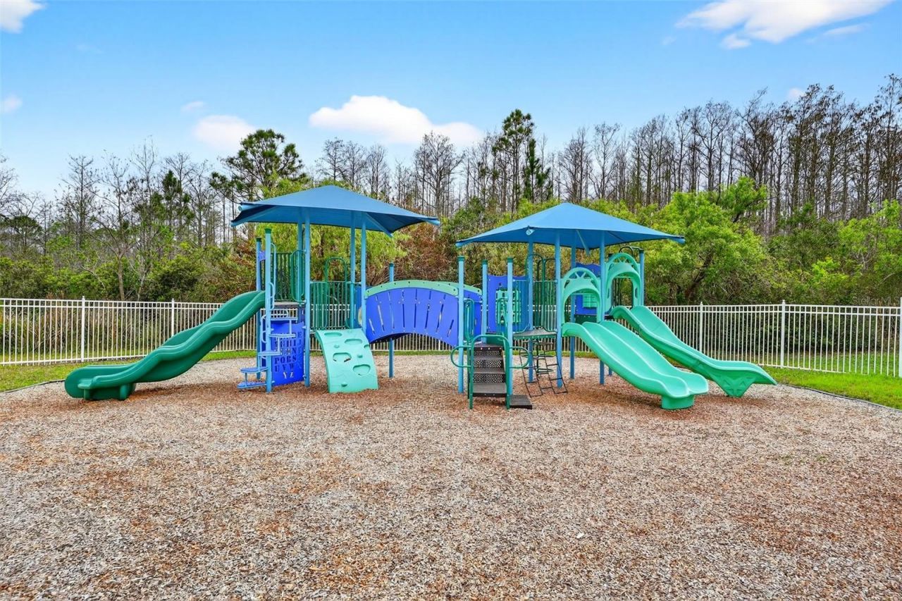17756 Sterling Pond Lane, Orlando, FL 32820 Photo