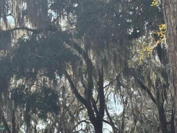 25146 NE 140TH LOOP , Unit 71, SALT SPRINGS, FL 32134