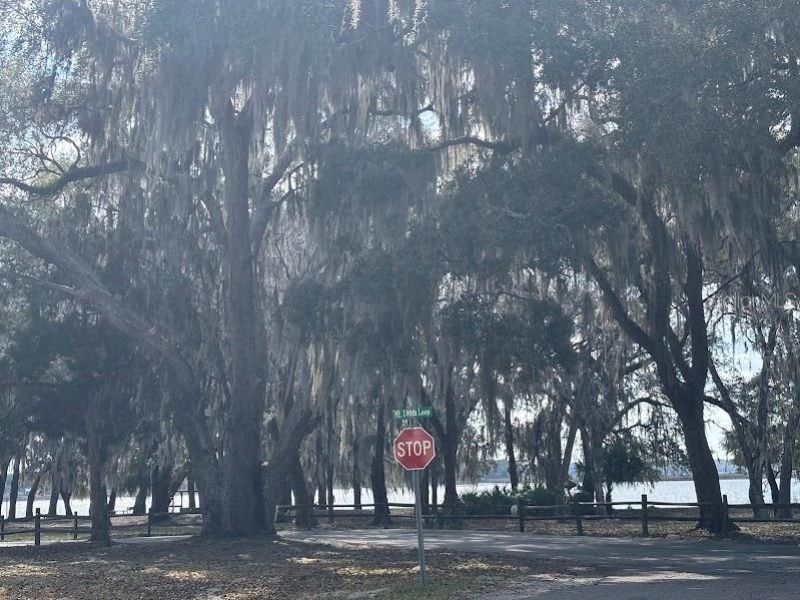 25146 NE 140th Loop, Lot #71, Salt Springs, FL 32134 Photo