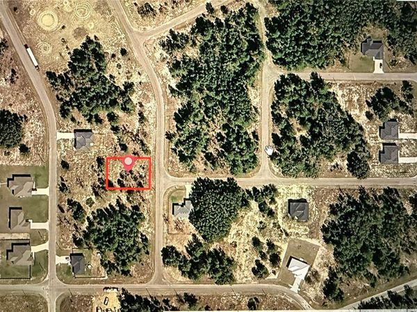 GUAVA TRACK , OCKLAWAHA, FL 32179