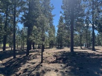 3312 Golf Club Drive, Lot #137, Carson City, NV 89705 Photo