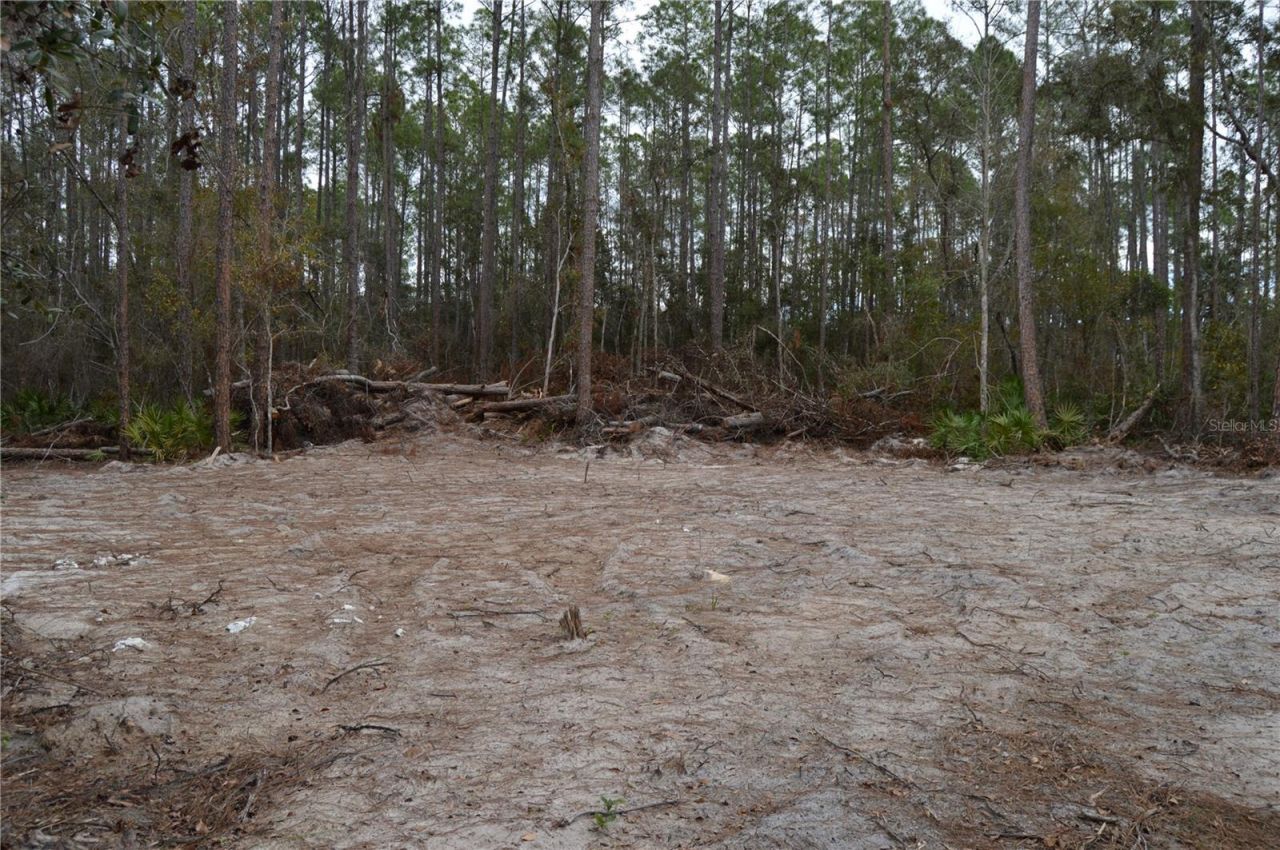 1459 NE 743 Street, Cross City, FL 32628 Photo