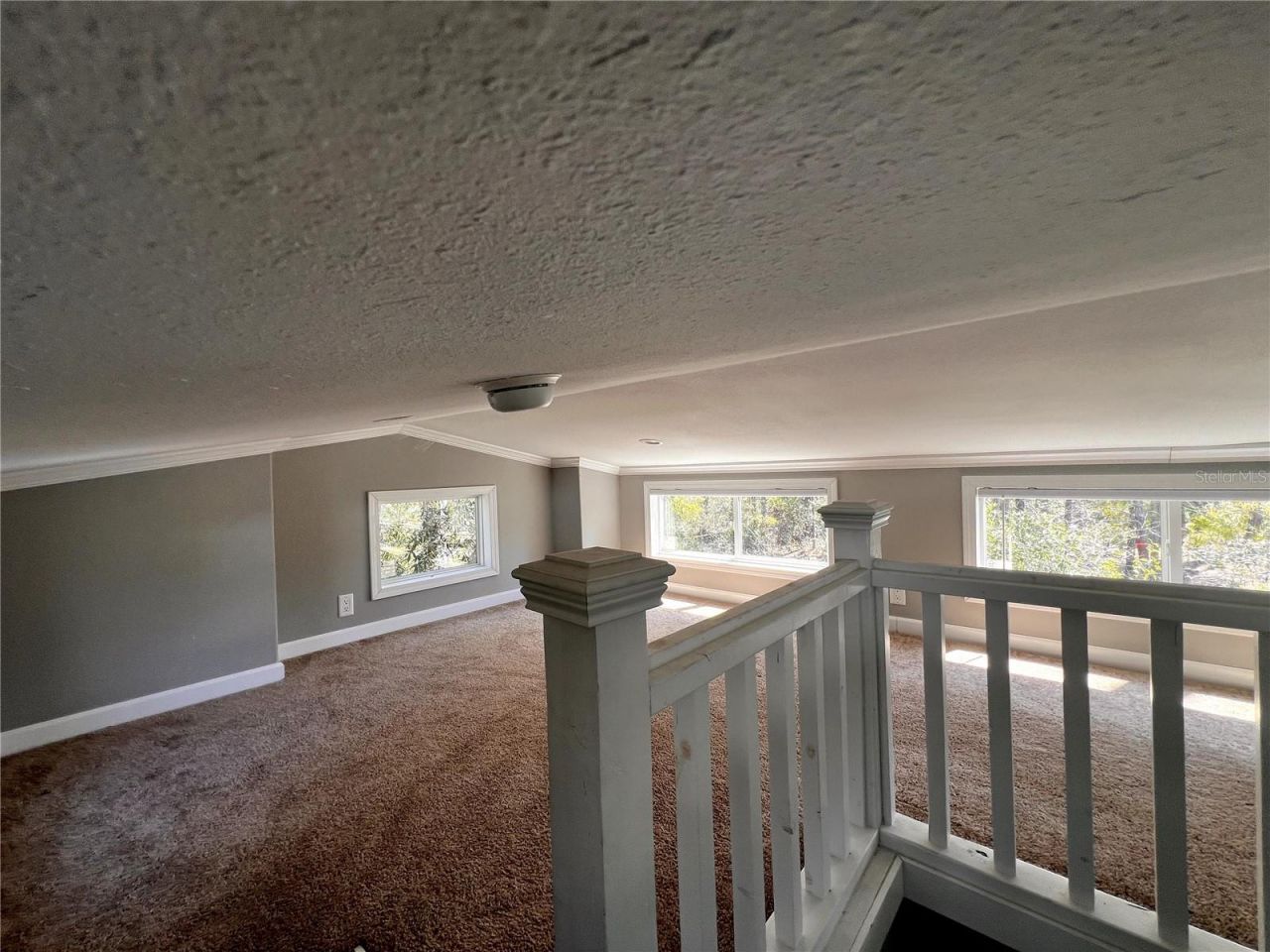 1459 NE 743 Street, Cross City, FL 32628 Photo